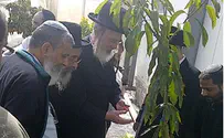 חוקרים יצרו תאים זהים לאלה המביאים לפרקינסון