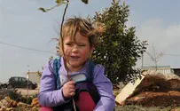אירועי נטיעות בכל רחבי יהודה ושומרון