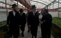 Rav Lior, MK Eichler Visit Gush Katif Evictees