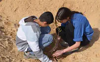 באריאל נוטעים עצים ומייהדים את הנגב