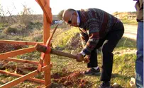 נשים בירוק וידאו: "מתנחלי" רעננה נוטעים בנצר