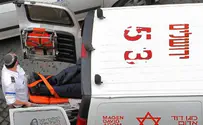 Гершкович один выступает за Звезду Давида 
