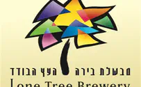 Scottish and US Experience Makes Great Israeli Beer
