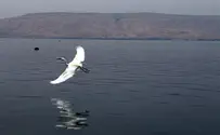 פלאש 90 В минувшие выходные уровень воды в Кинерете поднялся на 6 см