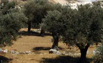 מי חותר להעברת אדמות מושב יהודי לג'סר אזרקה?