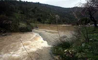 "הזרימות בנחלי הצפון - מחזות שלא נראו שנים"