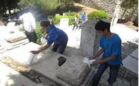צפת: התלמידים מאמצים קברי אלמונים