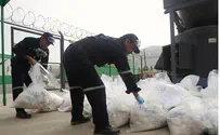 Head of Colombia's Calle Cartel Surrenders