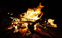 A Call for Ecological and Spiritual Lag B’Omer