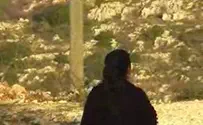 סרטי בוגרים: כשהאדמה נשמטת