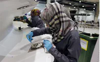 Asia's Olympic Chief Calls for Hijab to be Allowed