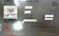 נהג מיניבוס הילדים הציג רשיון נהיגה מזויף