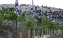 עצים בשירות הביטחון  