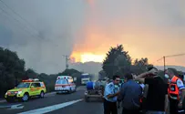 תפקוד המשטרה באסון: אומץ לצד ליקויים