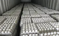 8,000 תבניות ביצים הוברחו מהרש"פ לישראל