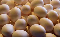 Authorities Confiscate 51,840 PA Eggs