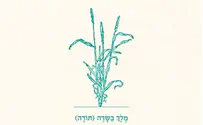 עמיר בניון במונולוג לחודש אלול: מלך בשדה 