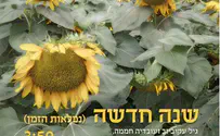 חממה ועקיביוב בדואט חמישי לשנה החדשה
