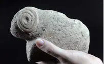 Уникальные археологические находки
