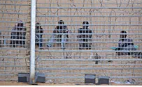 Reuters Eritreans Hope Court Forces Israel to Accept Illegal Entry