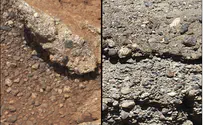 Fatwa: Muslims Can't Travel to Mars
