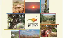 "דווקא ההישגים מזמינים לחצים"