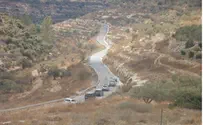 סלאם פיאד במסיק זיתים בבנימין