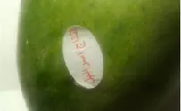 לריאונוב מדבקה בערבית על מנגו: חרם חדש על ישראל?