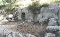 Dog's Fall Led to Archaeological Discovery