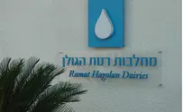 מסע בעקבות החלב ברמת הגולן