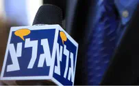 החיים הוורודים – גרסת גלי צה"ל