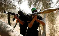 Expert: Democracies Cannot Defeat Terrorism