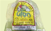 הרב רימון: ירקות 'חסלט' - עם הדברה מועטה