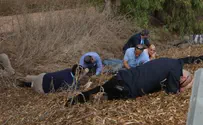 JFNA Solidarity Under Fire - JFNA Mission Experiences Missile Attacks