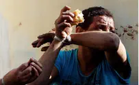 Inside Look at Muslim Brotherhood’s Torture Chambers