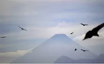 Sudan Captures Israeli 'Spy Vulture' 