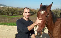 לוחמי היס"מ הצילו את הסוס הפגוע