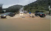 כל הארץ נחלים           