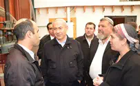 צפו: ראש הממשלה ברחלים