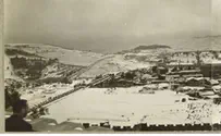 הארכיון הארכיאולוגי עולה לרשת 