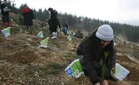 Defense Against Gaza Terrorism: Trees