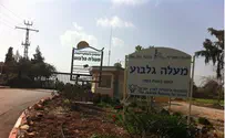 קיבוץ מעלה גלבוע חוגג 50
