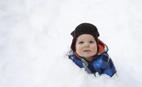 Nemo: Prayers in Snowed-In Homes, and Awe of G-d's Creation