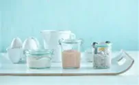 INN: Zalman Roth Recipe: Homemade Mayonnaise Made Easy, Kosher for Passover too!