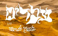 החירות היא בידינו: בנימין לנדאו – עבדים