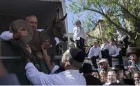 תמונות: פדיון פטר חמור