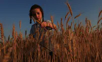 Secular Israelis Learn to Count the Omer on TV