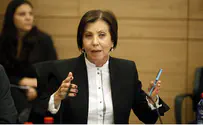 Pro-Arab MK: Struk's Standards 'Deranged'