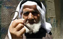 Accepting 'Arab Initiative' is Suicide, Says Diplomat