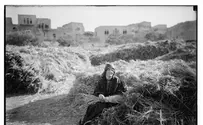 Israel's History in Pictures: Book of Ruth